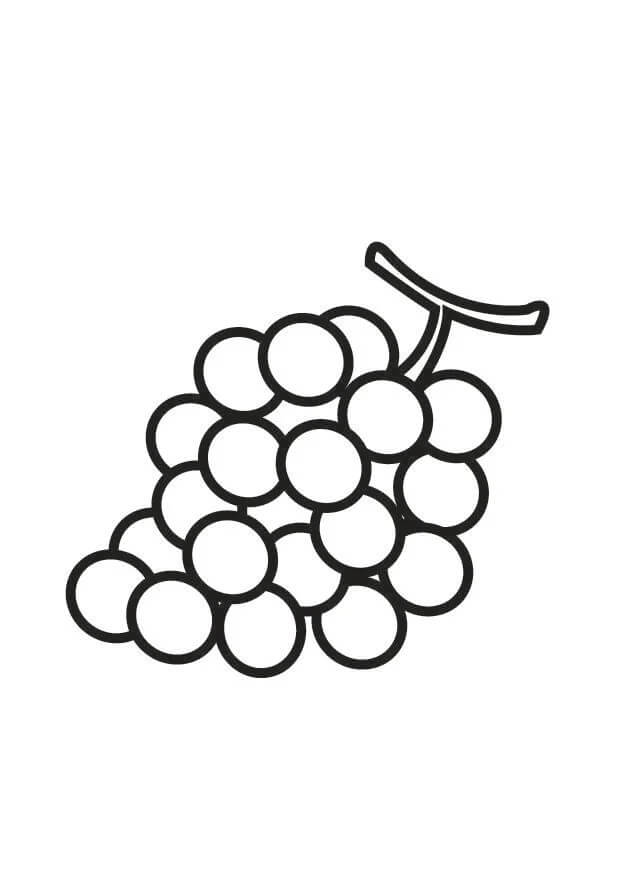 Dibujo de Uvas fáciles para Colorear
