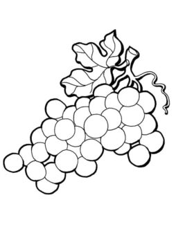 Dibujo de Uvas Grandes para Colorear