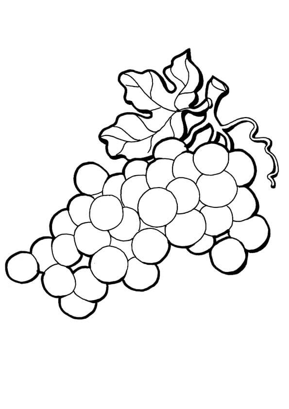 Dibujo de Uvas Grandes para Colorear
