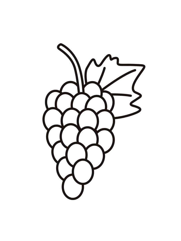 Dibujo de Uvas Muy fáciles para Colorear