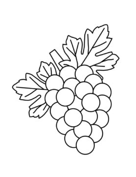 Dibujo de Uvas Normales para Colorear
