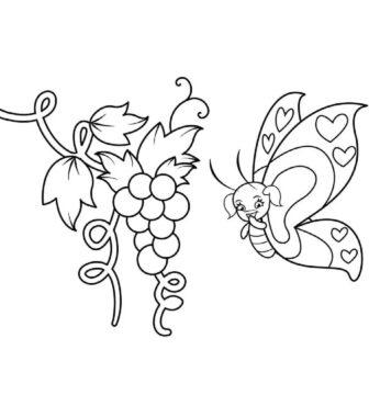 Dibujo de Uvas y Mariposa para Colorear