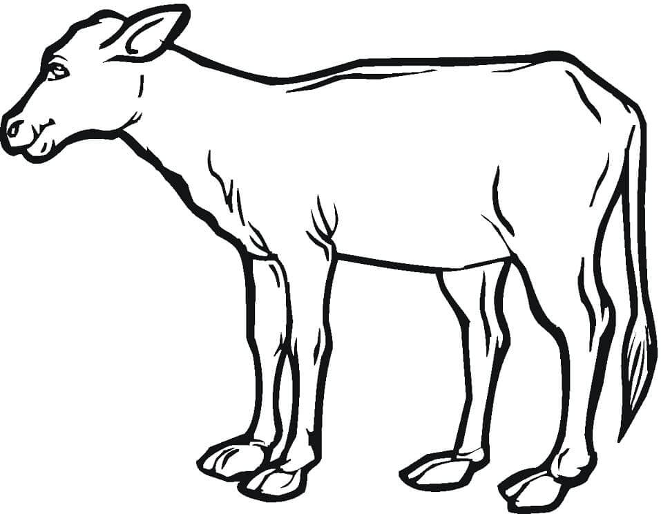 Dibujo de Becerro de Vaca para Colorear