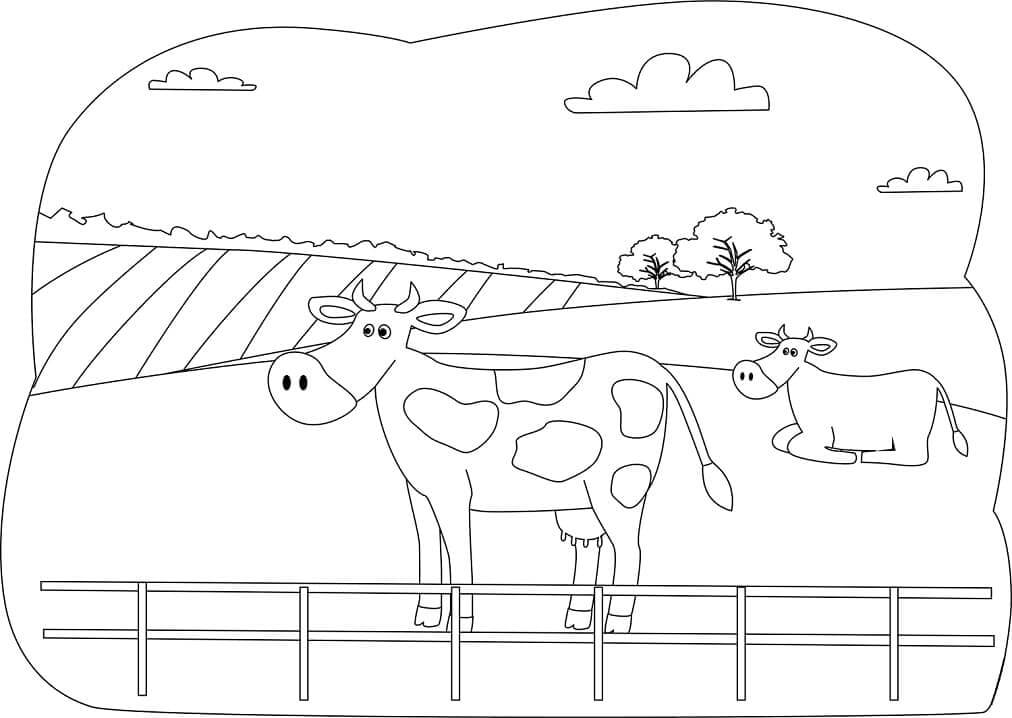 Dibujo de Dos Vacas para Colorear