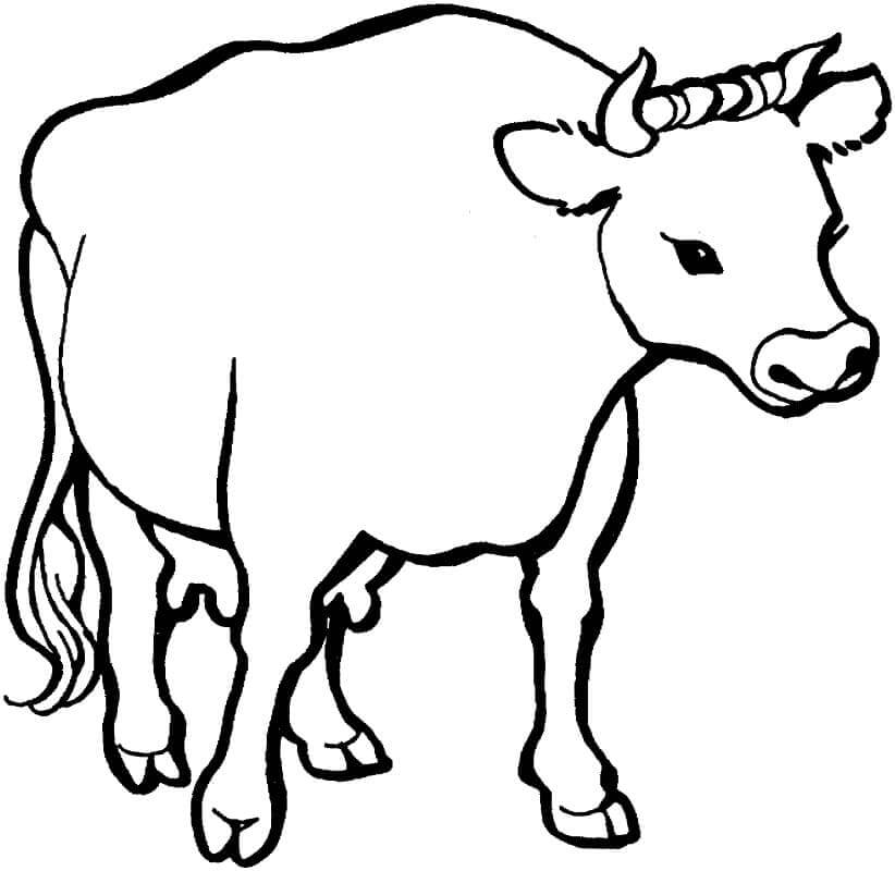 Dibujo de Una Vaca para Colorear