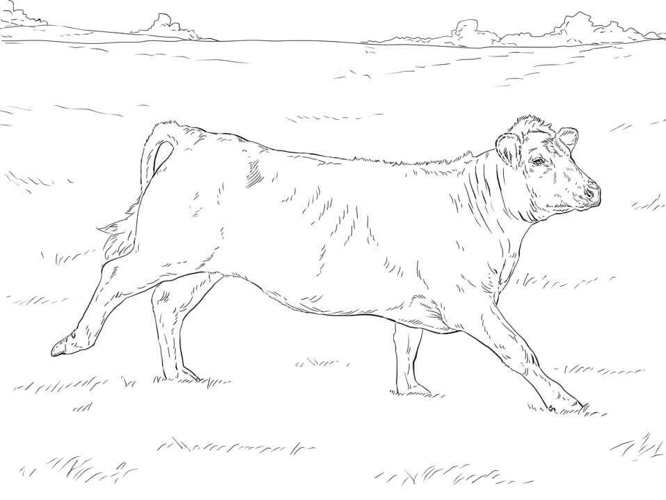 Dibujo de Vaca Corriendo para Colorear