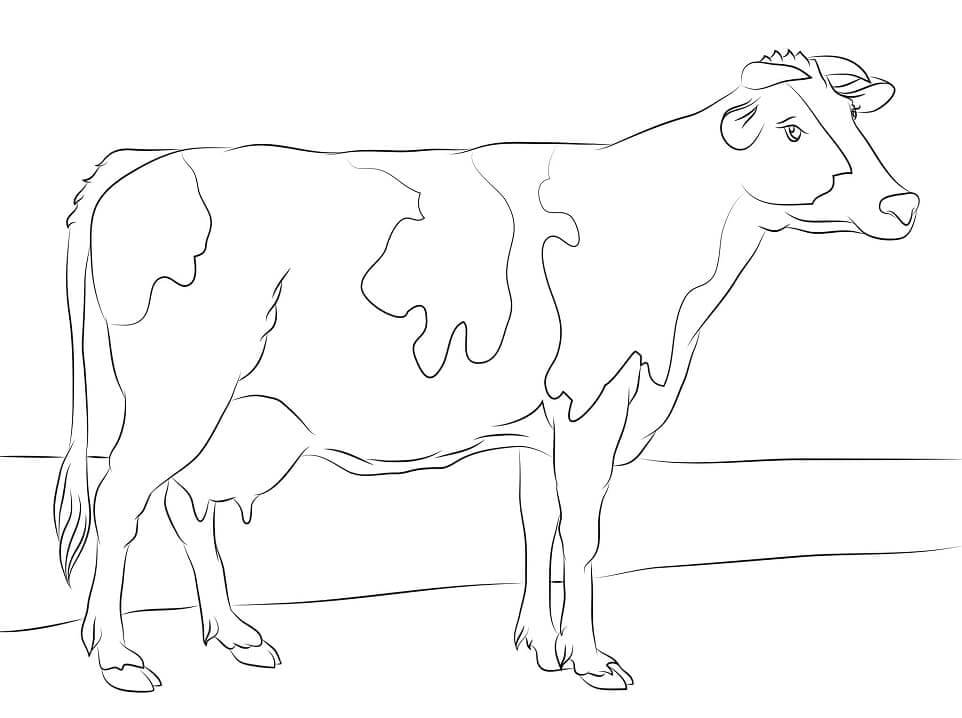 Dibujo de Vaca Holstein para Colorear