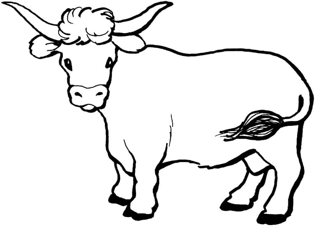 Dibujo de Vaca Imprimible para Colorear