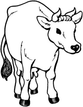 Dibujo de Vaca Normal para Colorear