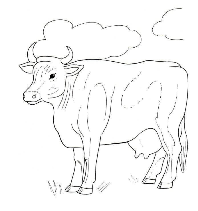 Dibujo de Vaca con Nubes para Colorear