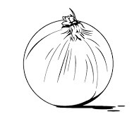 Dibujo de Cebolla básica para Colorear
