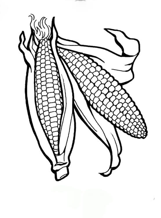 Dibujo de Dos Callos para Colorear