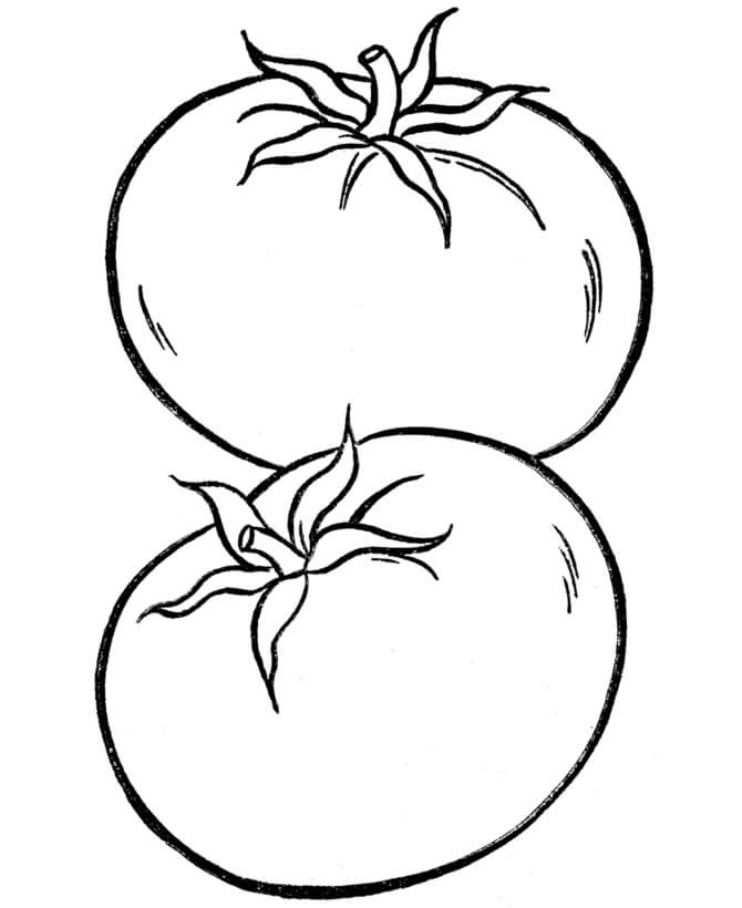 Dibujo de Dos Tomates para Colorear