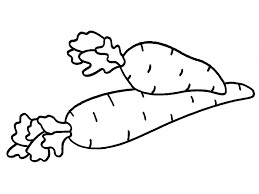 Dibujo de Dos Zanahorias para Colorear
