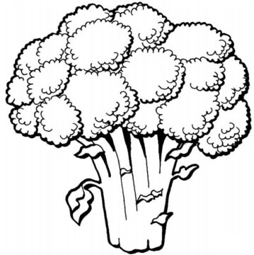 Dibujo de Un Brocoli para Colorear