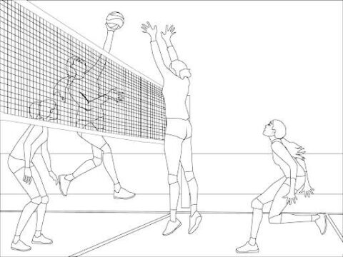 Dibujo de Torneo de Voleibol para Colorear
