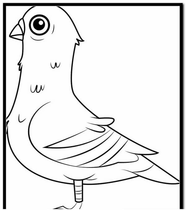 Dibujo de Linda Liz para Colorear