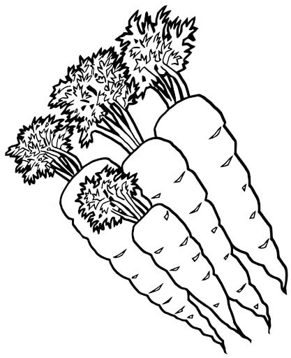 Dibujo de Cuatro Zanahorias para Colorear