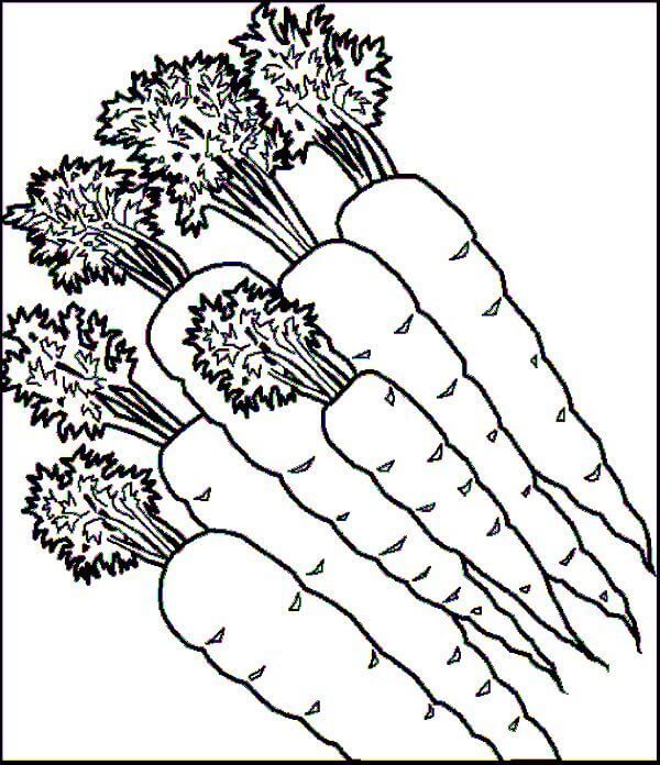Dibujo de Seis Zanahorias para Colorear
