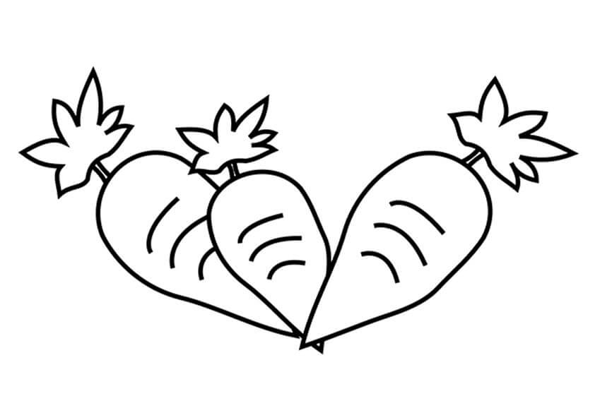 Dibujo de Tres Zanahorias Lindas para Colorear