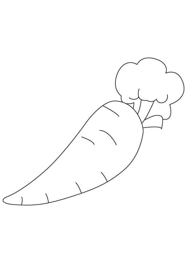 Dibujo de Zanahoria Imprimible para Colorear