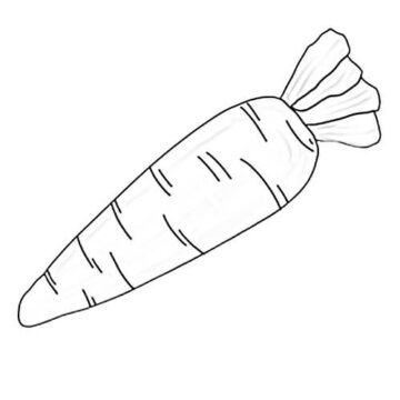 Dibujo de Zanahoria Perfecta para Colorear
