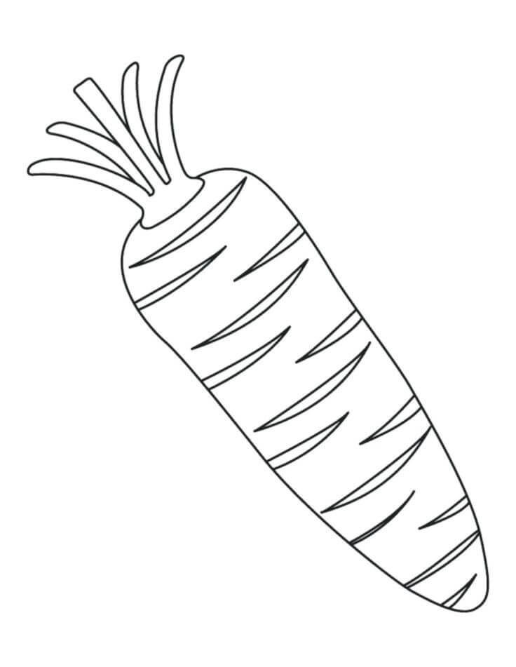 Dibujo de Zanahoria Simple para Colorear