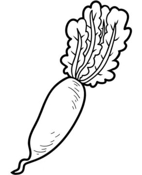 Dibujo de Zanahoria Vegetal para Colorear