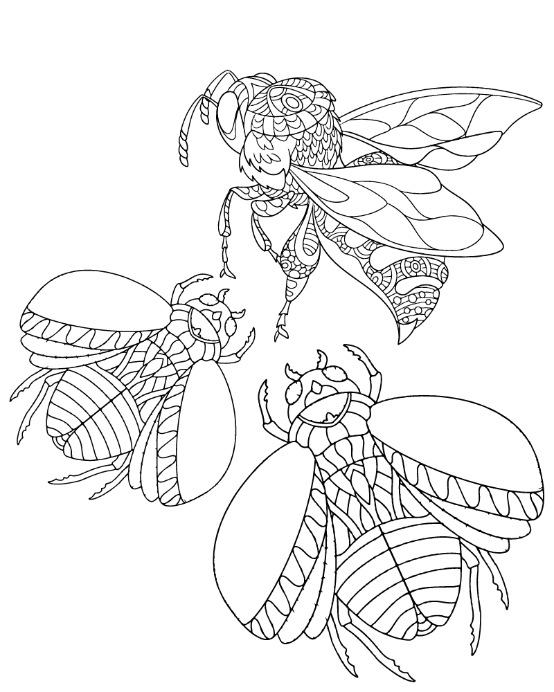 Dibujo de Zen Insect Coloring Page para Colorear