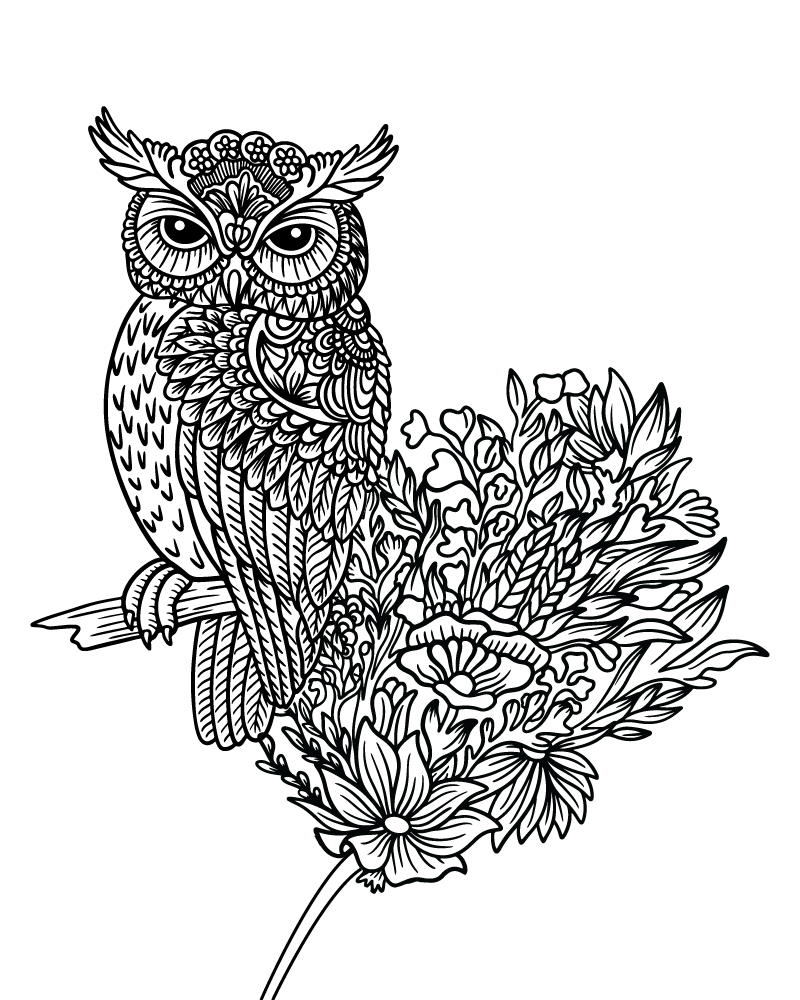 Dibujo de Zen Owl Coloring Page para Colorear