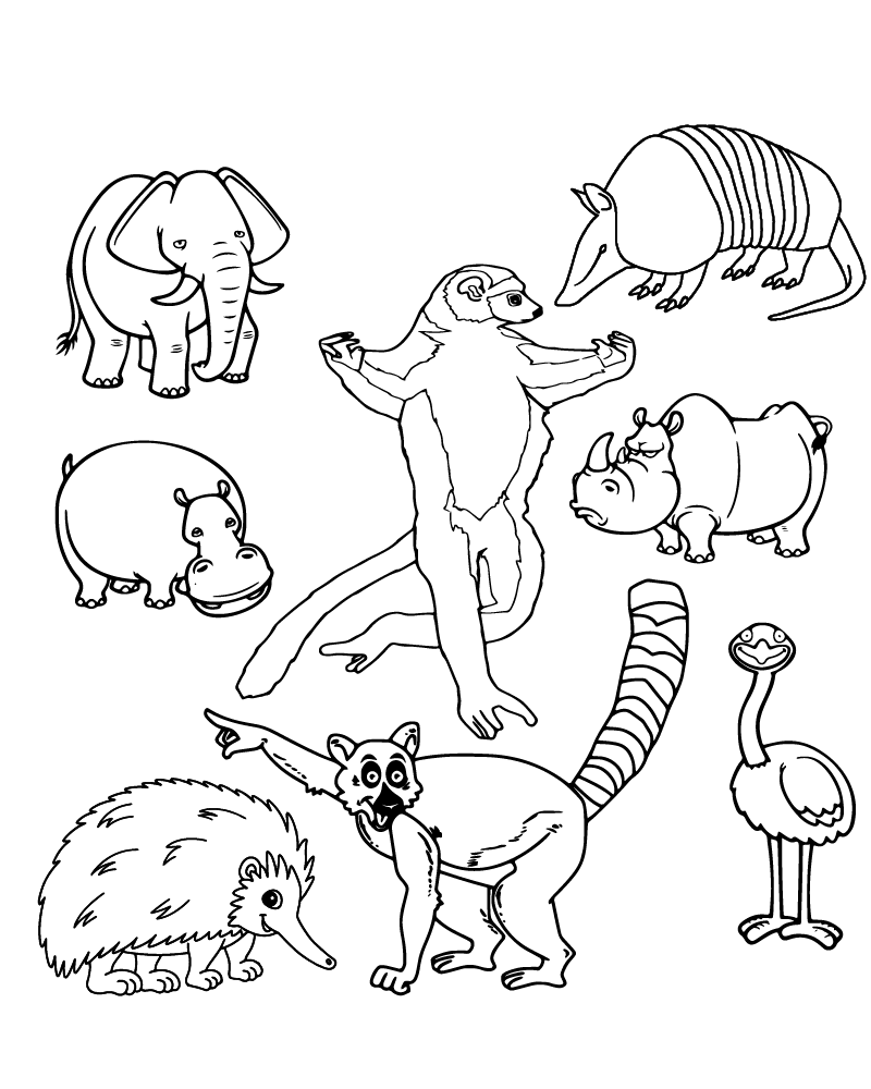 Dibujo de Zoboomafoo Animals And Friends Coloring para Colorear