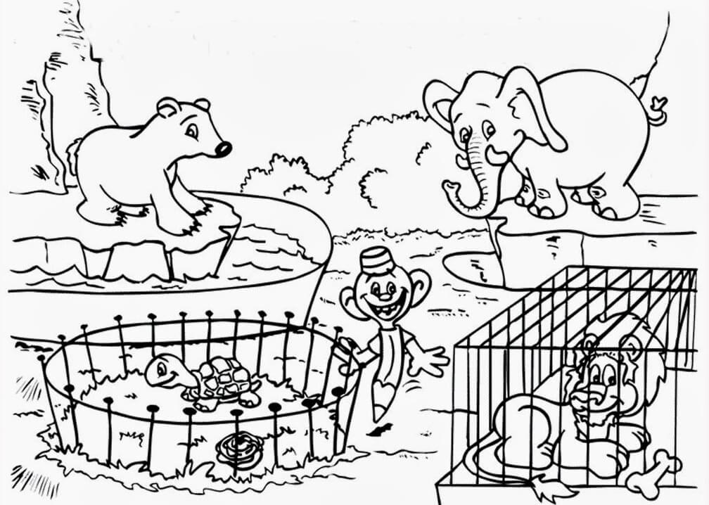 Dibujo de Animal B Sico del zoológico para Colorear