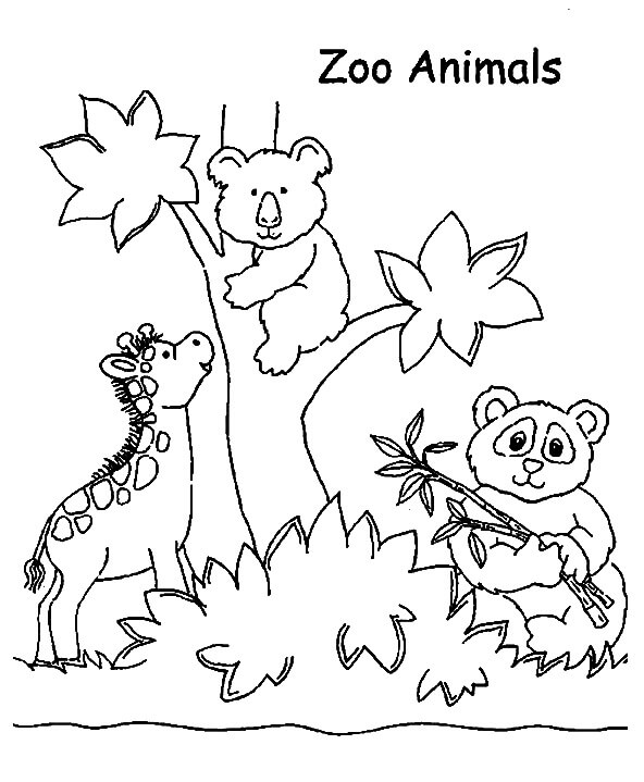 Dibujo de Animal Normal en el zoológico para Colorear