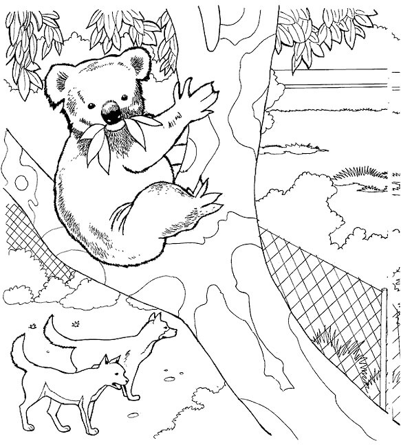 Dibujo de Koala y Dos Perros en el zoológico para Colorear