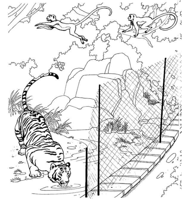 Dibujo de Zoológico Adorable para Colorear