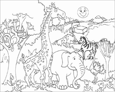Dibujo de Zoológico de Niza para Colorear