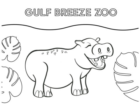 Dibujo de Zoológico Gulf Breeze para Colorear