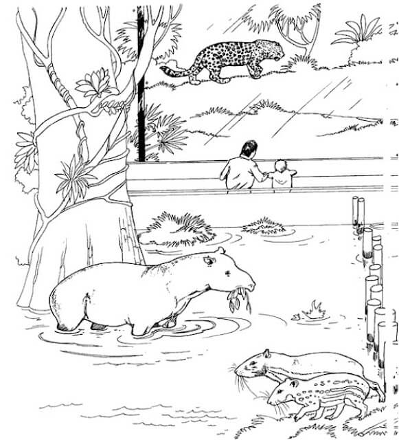 Dibujo de Zoológico Imprimible para Colorear