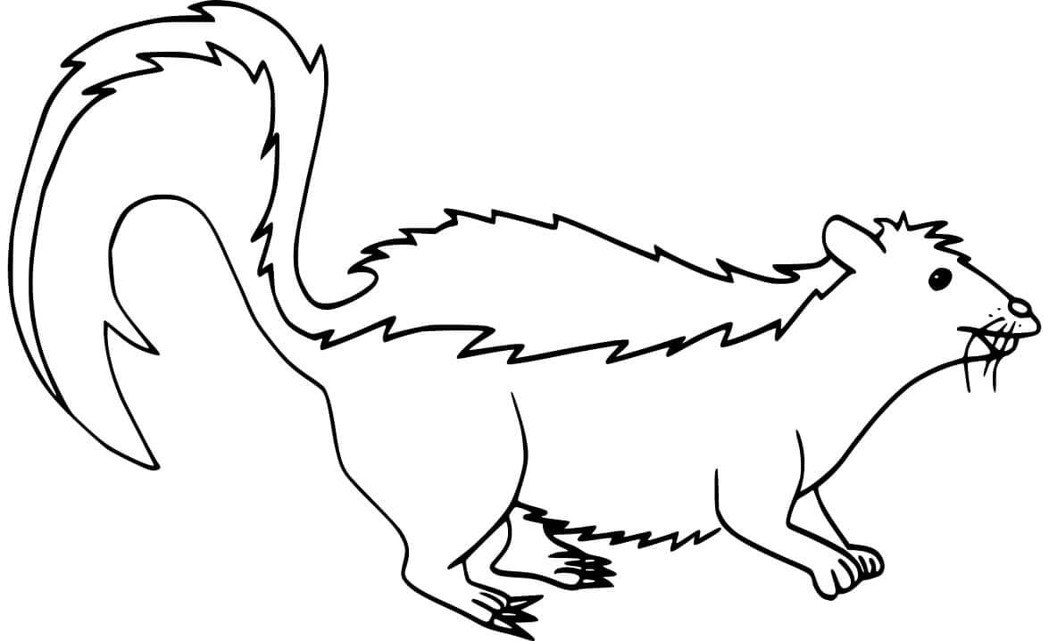 Dibujo de Mofeta Hognose para Colorear