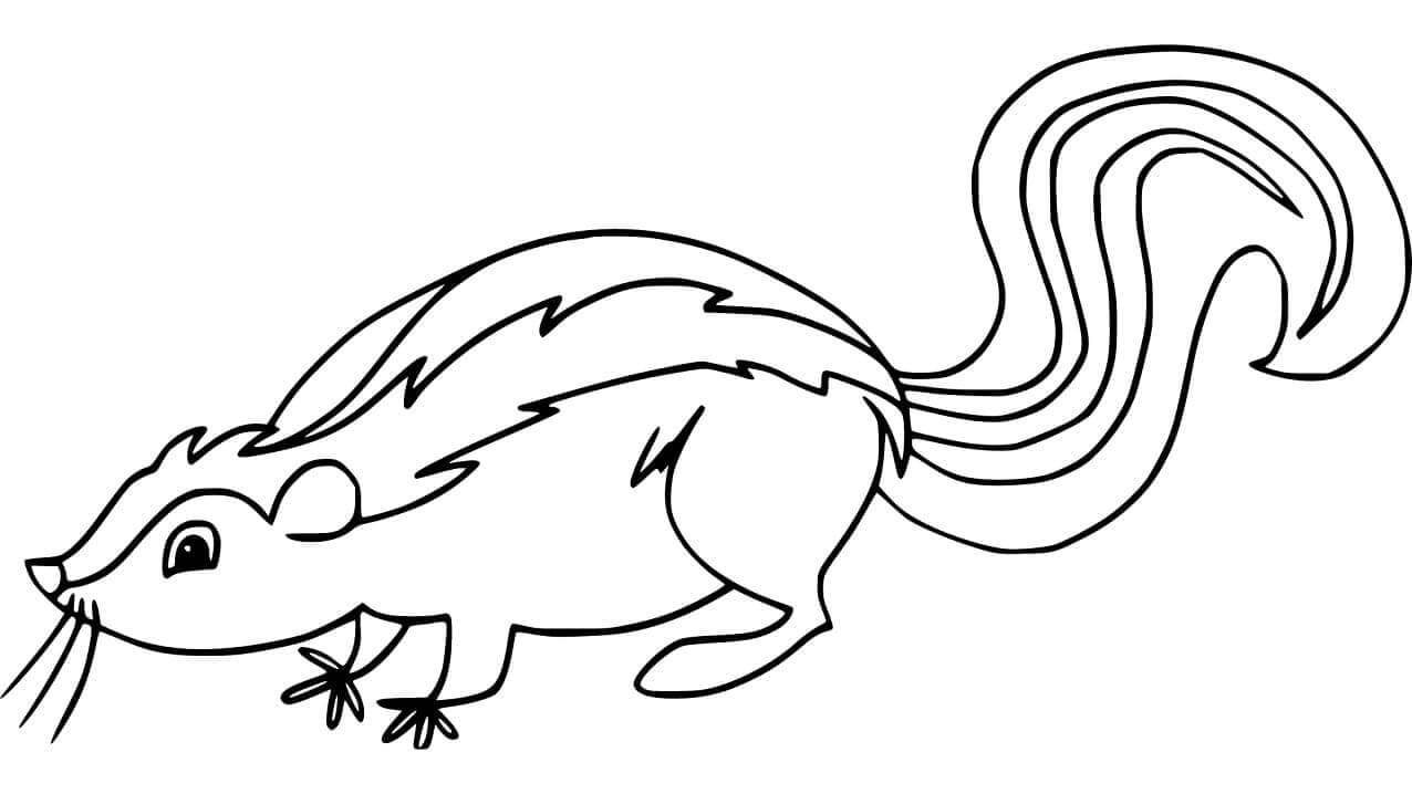 Dibujo de Mofeta Imprimible para Colorear