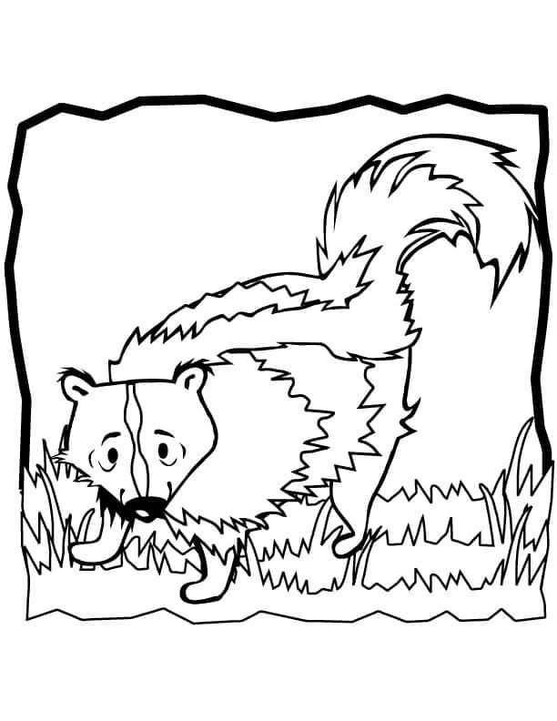 Dibujo de Mofeta en Hierba para Colorear