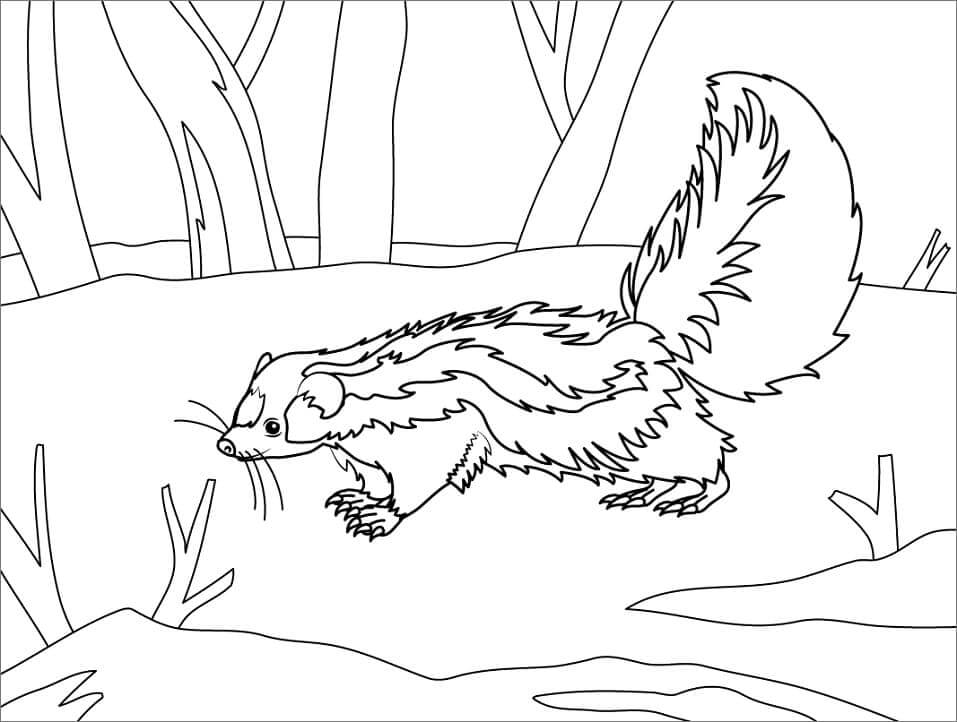 Dibujo de Mofeta en la Jungla para Colorear