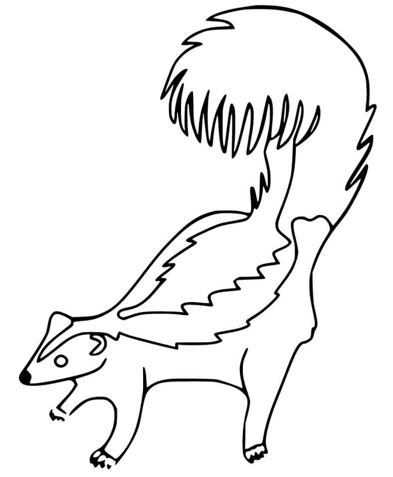 Dibujo de Mofeta para Imprimir Gratis para Colorear