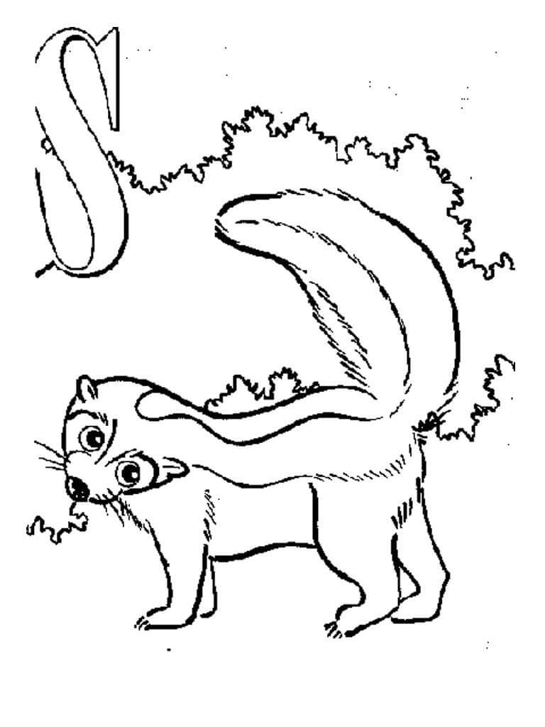 Dibujo de S Es para Zorrillo para Colorear