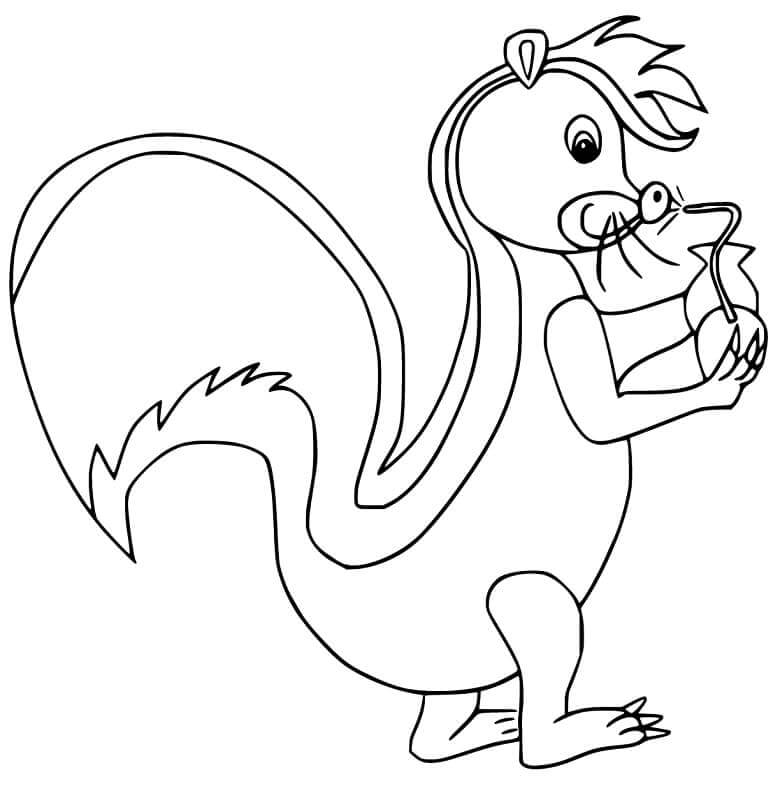 Dibujo de Skunk Imprimible para Colorear