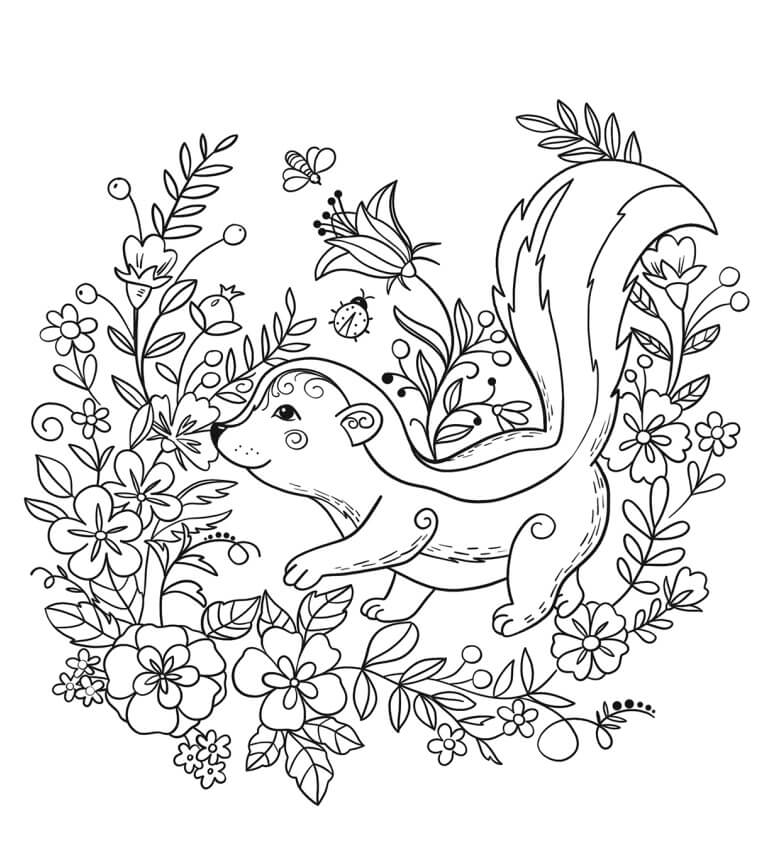 Dibujo de Un Zorrillo para Colorear
