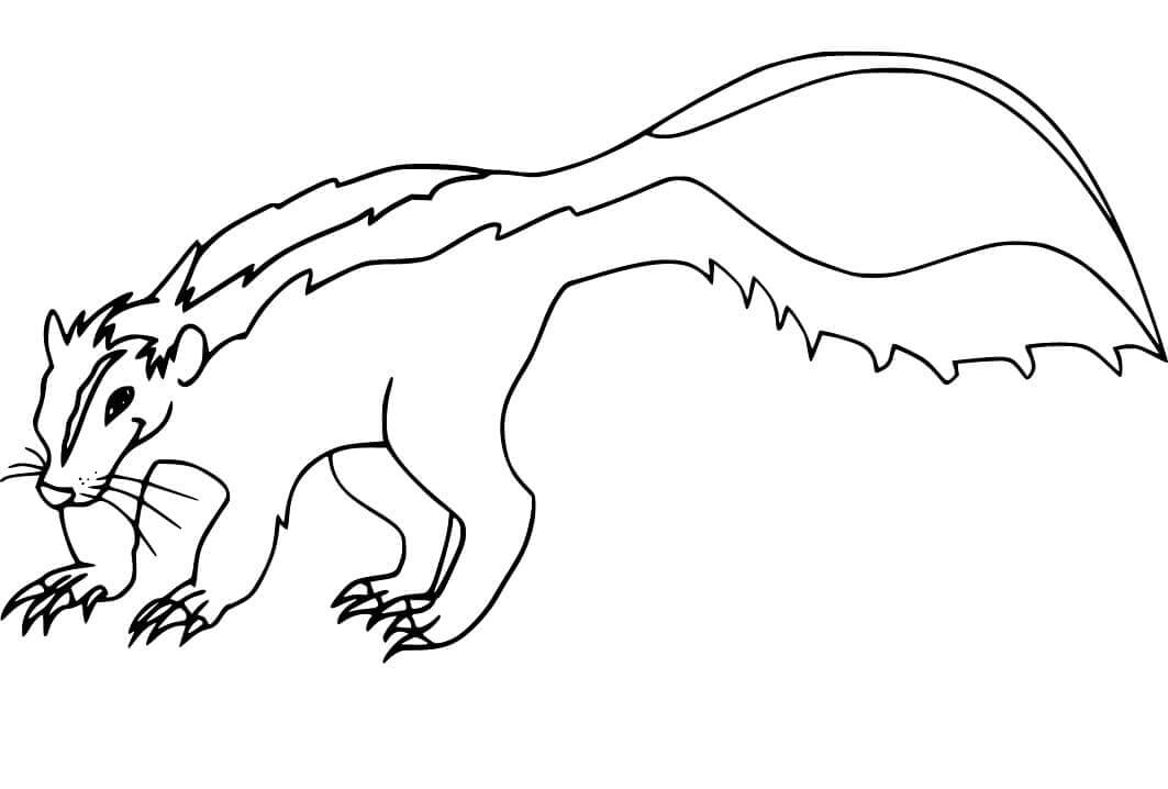 Dibujo de Zorrillo Impresionante para Colorear