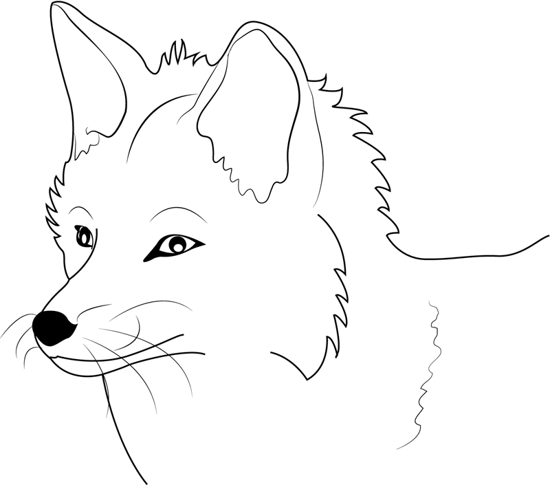 Dibujo de Cara de Zorro para Colorear