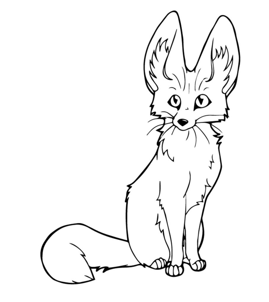 Dibujo de Fennec Zorro Sentado para Colorear