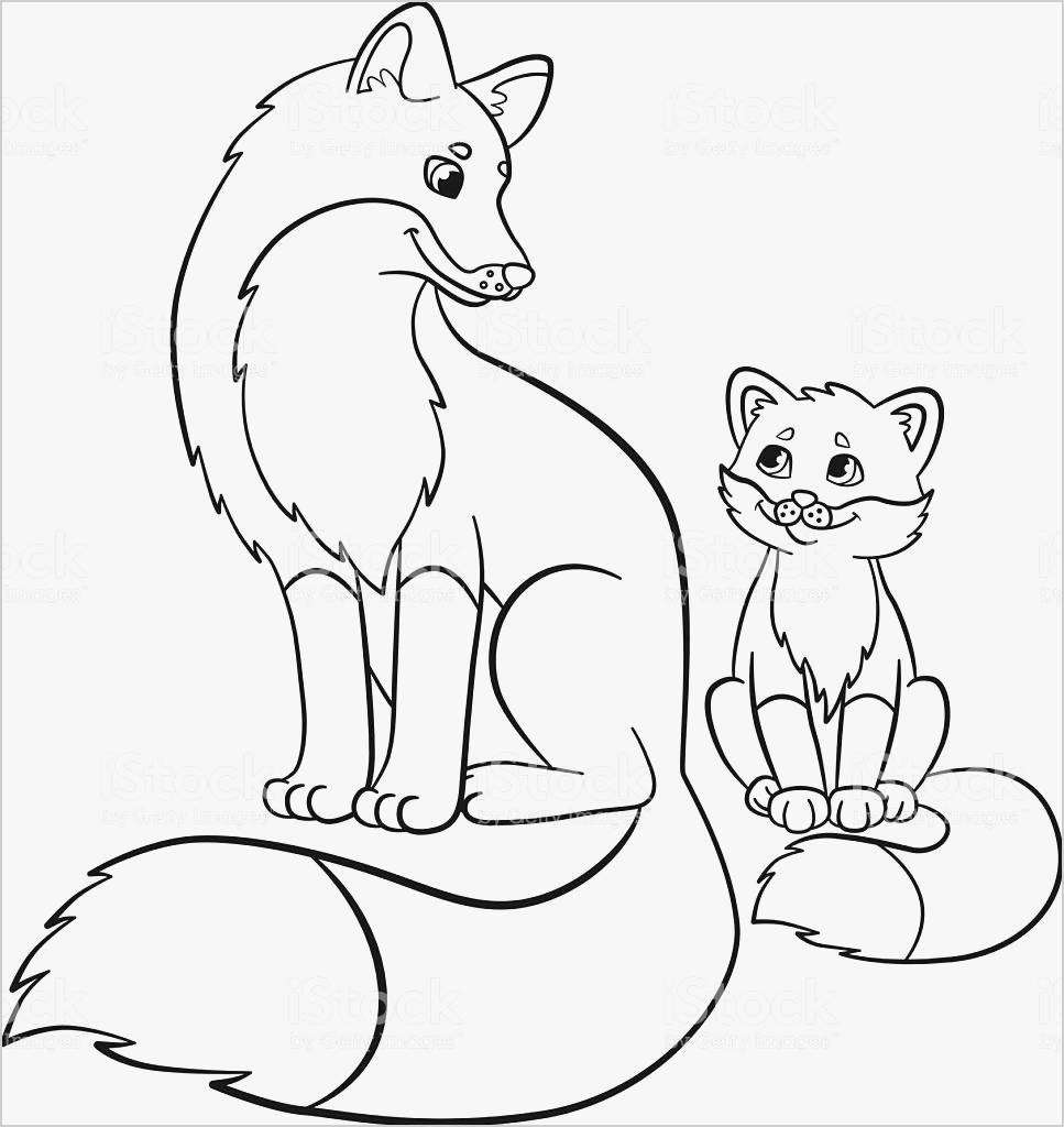 Dibujo de Madre y bebé Zorro para Colorear